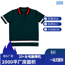 规词新款男装Polo翻领夏季休闲百搭拼色轻奢经典高品质短袖针织衫