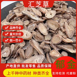 郁金中药材野生 郁金500克玉金姜黄毛姜黄黄郁批发广郁金中药材