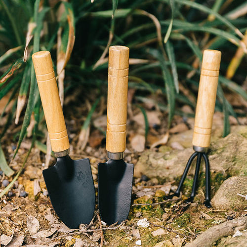 园艺工具三件套迷你园林工具 多功能小铲子耙锹家用种植物松土铲