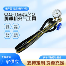 批发蓄能器充气工具 CQJ-16/25/40储能器充氮工具 剪板机检测工具