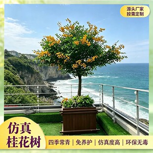 ����𻨘�����҃Ⱦ��^��٘��bƵ��̈������쾰�[���ɶ�zhi