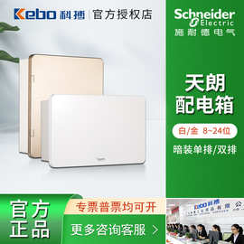 施耐德配电箱 天朗家庭明暗装强电8位16位 断路器空开配电箱现货
