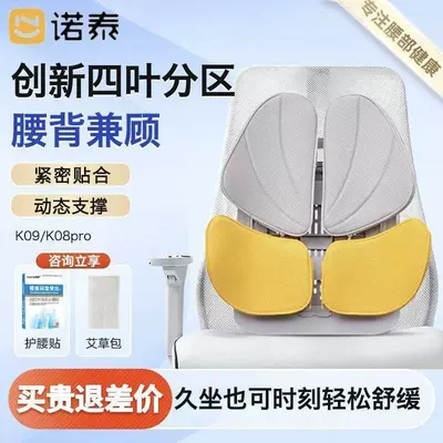 Nortech Lumbar Support Cushion for Waist support - grayish-yellow