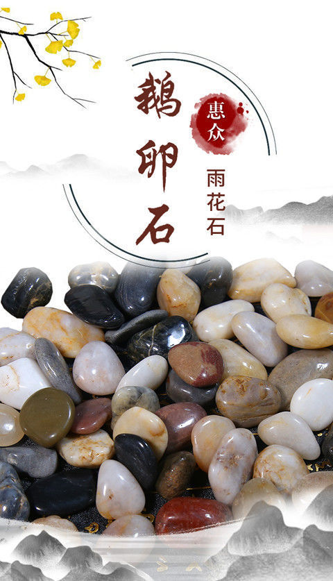 98d0fe48-80f3-46d6-9bb7-92c079ac978a.jpe