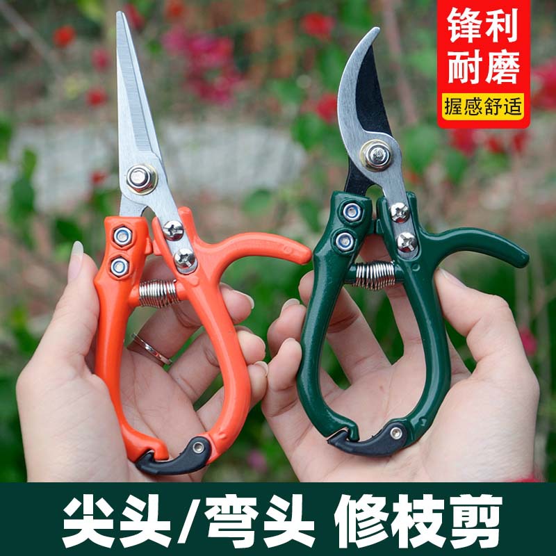 修枝剪刀家用稀果剪翘头剪葡萄的剪刀不锈钢修果弯头蔬果修枝剪子