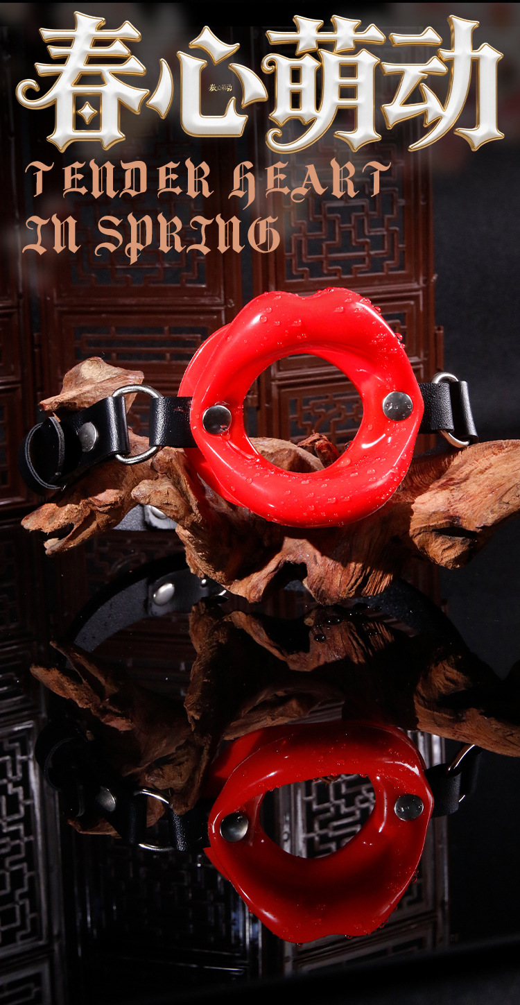 Jiuai SM Mouth Ball Gag with Leather and Metal Construction for Adult Couples — detail image 5