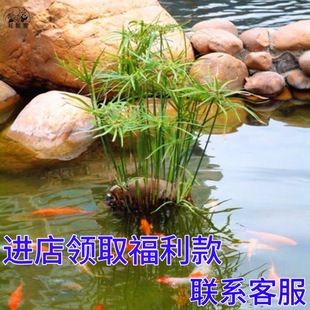 ˮ�񺵂��L܇ˮ������ˮ�Bֲ��ˮ�������~�׳�������ˮ�|��ˮ��