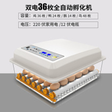家用36枚双电小型孵化器孵化机全自动控温水床卵化箱鸡孵蛋器