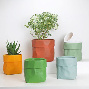 Creative and Distinctive Ins Ceramic Breathable Flower Pot Household Fleshy Phalaenopsis Cactus Green Rose