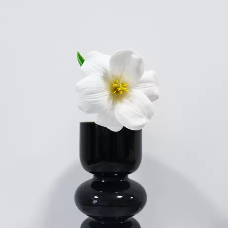 white brownie tulip