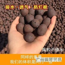 淘粒陶粒垫底陶粒大号养花回填卫生间彩色陶泥颗粒花用铺面
