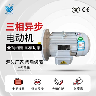 加工定制6极三相异步电动机160KW 380V国标纯铜线B3/B5/B35电机