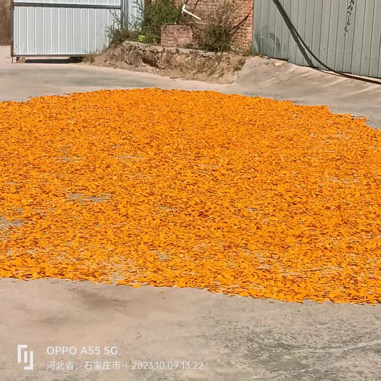 厂家彩色木屑木片景观树穴覆盖物新型园林覆盖裸露地表装饰木屑批