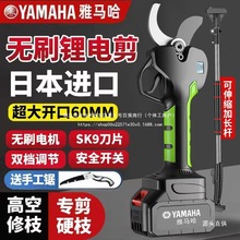 늄Ӽ����늳��ʽ�@�ֹ�����֦��������֦����늼��Ӽ�֦�F��