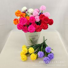 �S�����l���滨7�^ˮ���� ����С�ѽ��򻨹����bٻ����ҾӔ[��