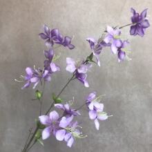 �L֦������滨 ��c�Y�õ���·���廨 �ҾӔ[�O �羳���� ���߼�