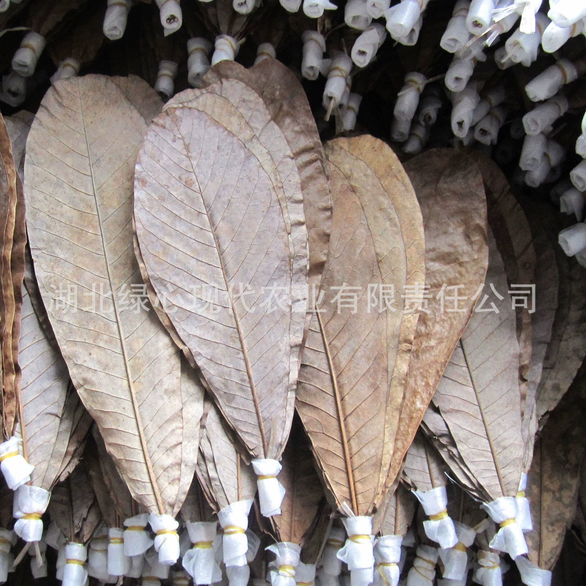 Сушеный лист сашими суши барбекю, украшенный японской кухней с естественной сушкой экспортного качества