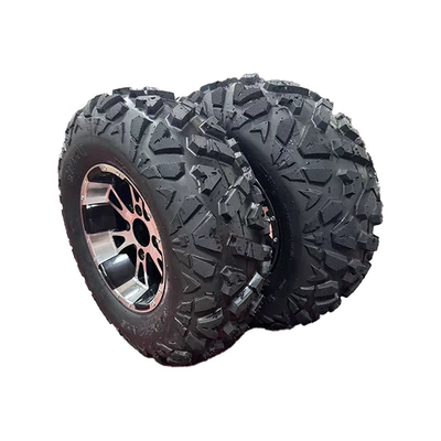 Tubeless Tire a Flower, Yolsuzluq şinləri