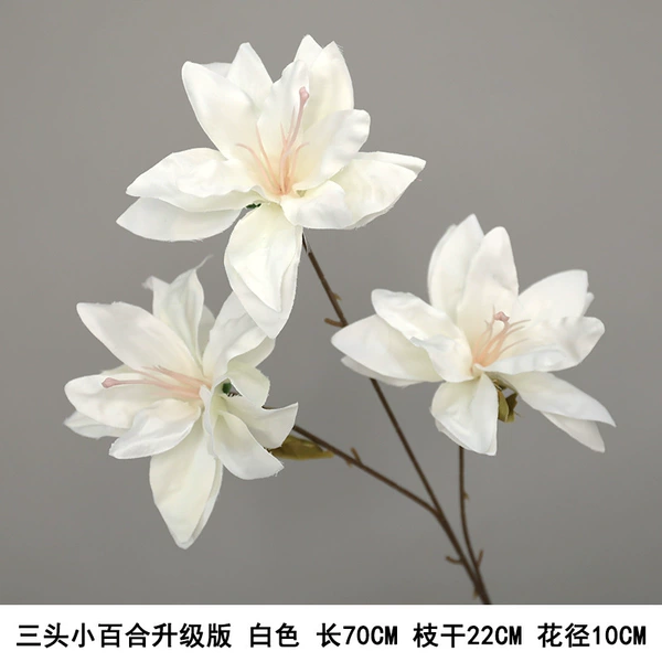 Three -headed little lily upgraded version of white
