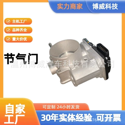 Saien, 2203036010, 220300V010, 220300V040, VE65G, E5980930 throttle valve (Drossel)