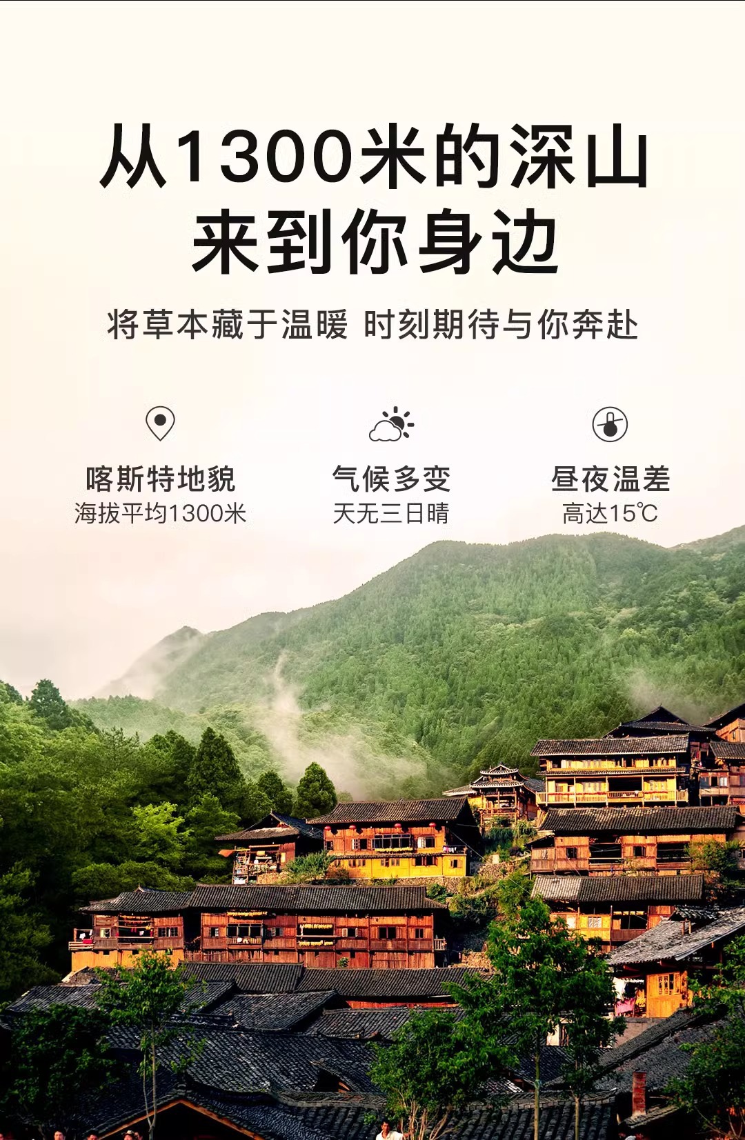 Miao Moxibustion Liquid, Bone-Penetrating Liquid, Moxibustion Liquid, Mugwort, Cervical Spine, Shoulder, Waist, Joint Heating, Rolling Ball, Street Vendor, Cross-Border detail imag