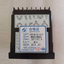 HZS-90智能显示仪上海上润仪表