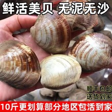 �oɳ�r���̖��ؐ���������r���۴󻨼״�����r��l؛���r����