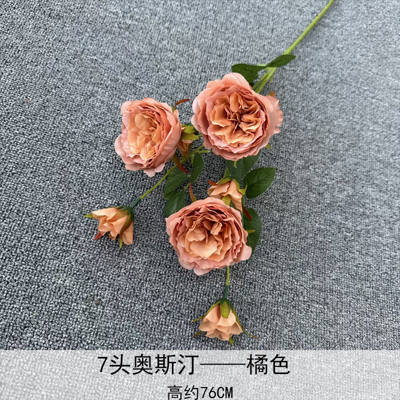 Naranja Austin de 7 cabezas