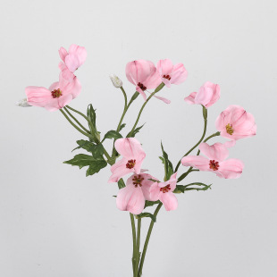 �¿����3���zƬ���Ļ� �ָ���ľ���һ��ѻ�С�r�� �Ҿӻ�c�b�