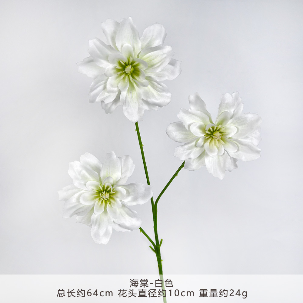 HT-海棠-白色