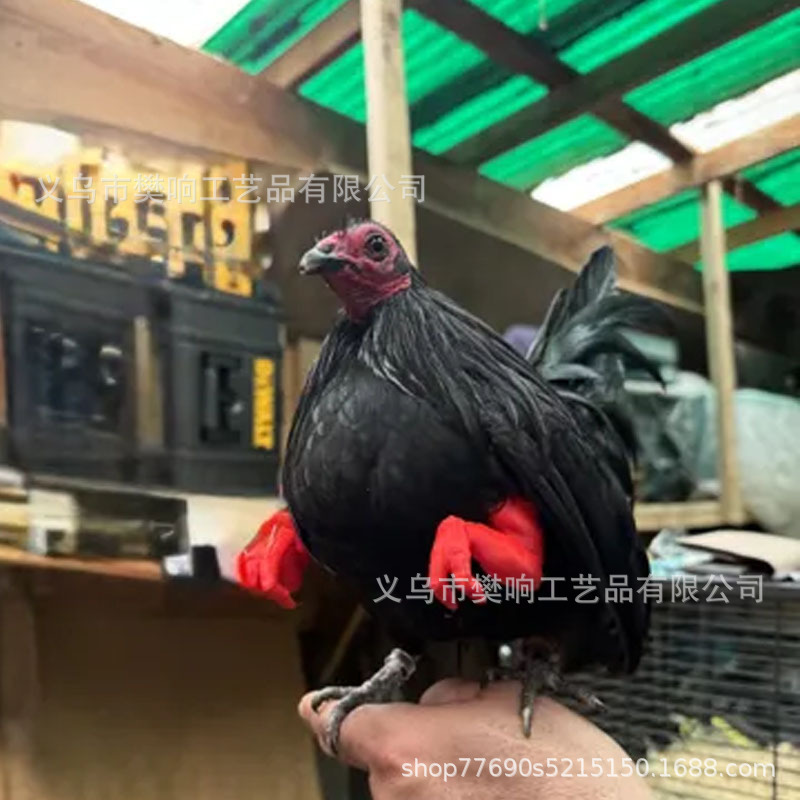 筋肉質の腕を持つ面白い猫面白い筋肉質の手と開発された腕クリエイティブな猫の首飾り|undefined