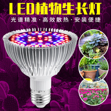 跨境热销LED植物生长灯全光谱30w50w80w大棚育苗多植物肉补光灯