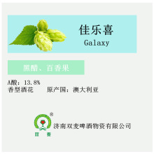 银河佳乐喜啤酒花颗粒澳大利亚原装进口果香酒花1kg精酿啤酒原料