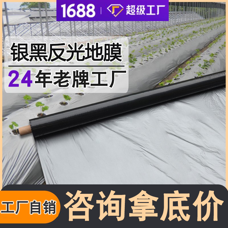 黑色地膜农用薄膜PE双层银黑农膜种菜专用打孔塑料银黑双色地膜