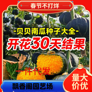 һ�����l�Gؐؐ�ϹϷN�������ζС�ϹϷN���۱�����߮a�߲�