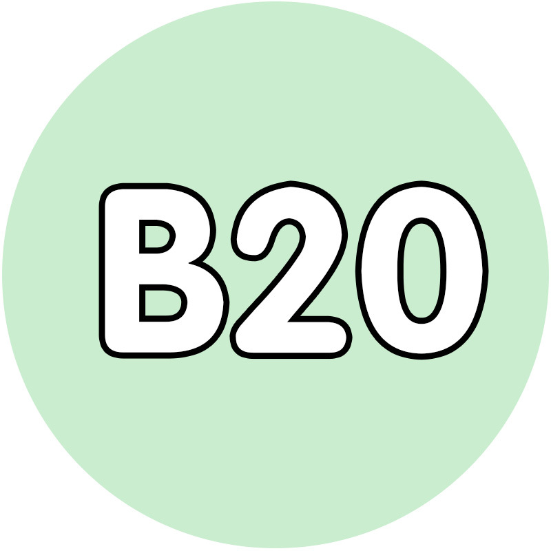 [10g auto-selección de paquete suplementario de galletas de frijol 221 color verde de alta calidad fusión frijol diy hecho a mano