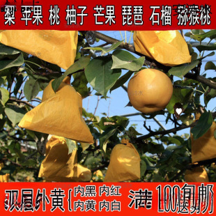 Special Paper Bag for Apples, Fruit Tree Fruit Bagging, Pear, Orange Protection Bag, Insect-Proof Peach, Loquat