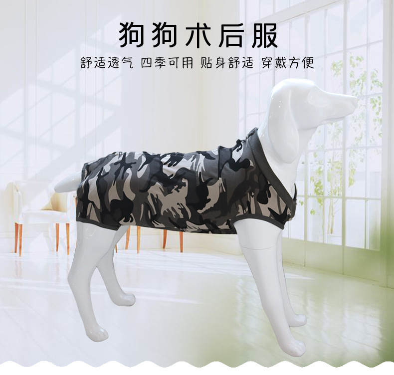 亞馬遜狗狗術後防舔衣服斷奶服裝絕育服寵物衣服工廠直銷批發