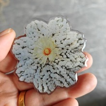 IC芯片亚克力冰箱贴 亚克力冰箱贴制作 冰箱贴 多肉标签冰箱贴