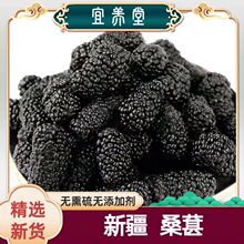 桑葚新疆桑葚干无硫精选药食同源桑椹干果散装免洗无沙黑桑葚子茶