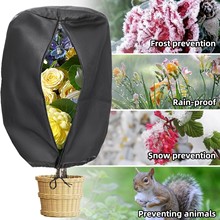 ���R�d�羳����ֲ�ﶬ�����o偻������������ֲ�ﱣů����������