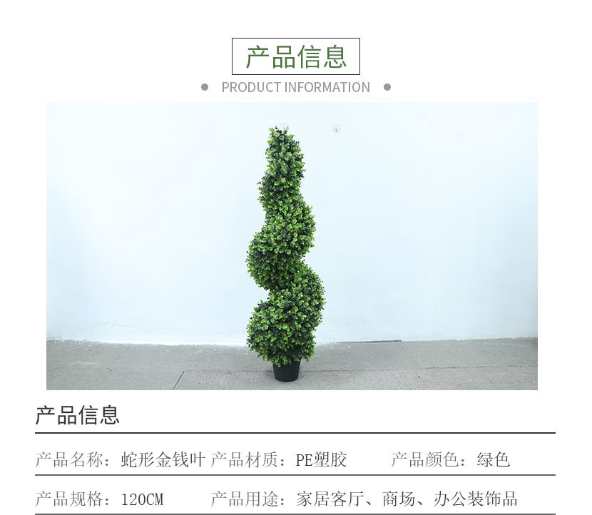 金钱叶_02.jpg