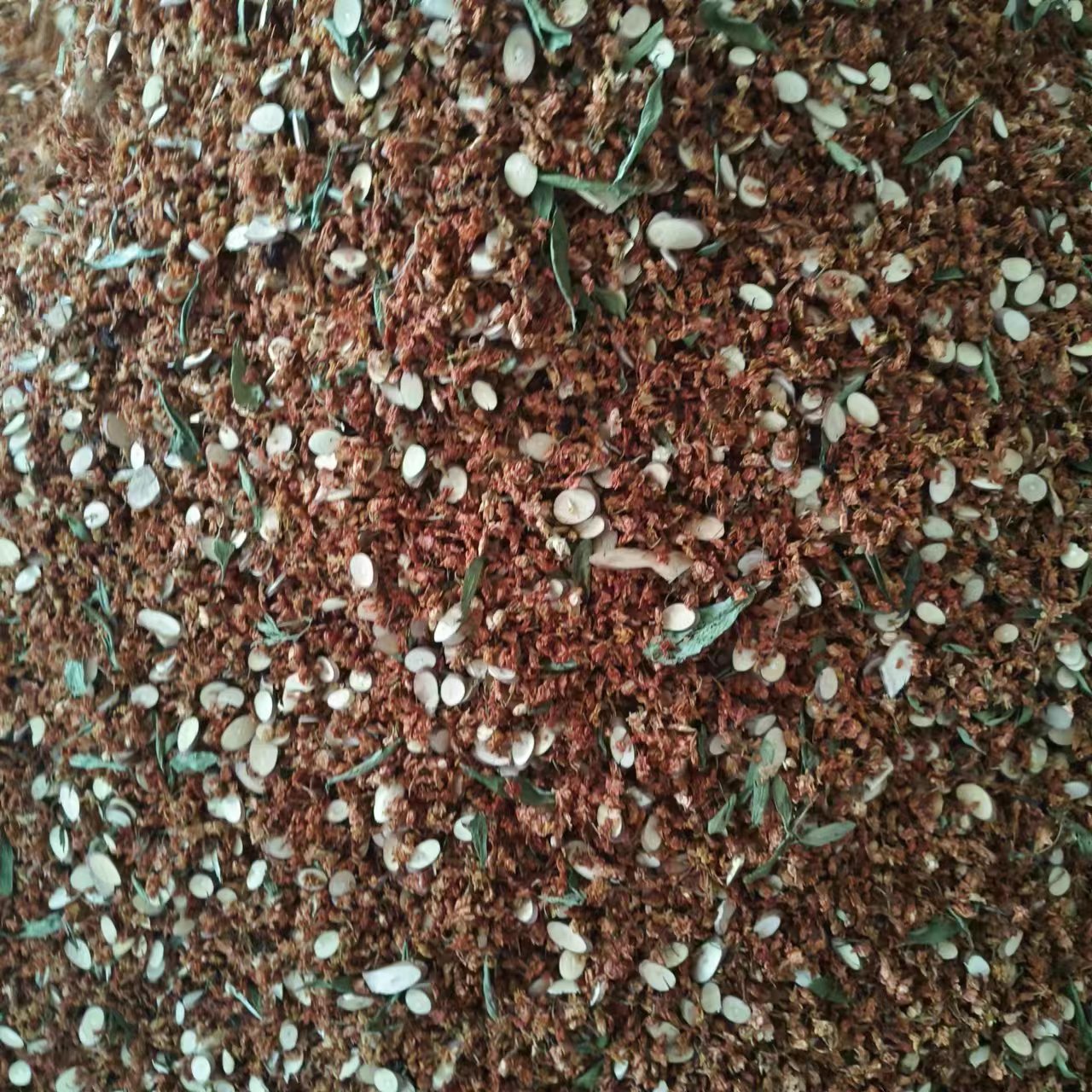 微信图片_20230407111409