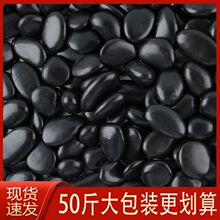 50斤黑色鹅卵石庭院造景铺地黑雨花石花园铺路园林装饰黑石头石子