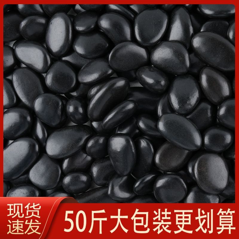 50斤黑色鹅卵石庭院造景铺地黑雨花石花园铺路园林装饰黑石头石子