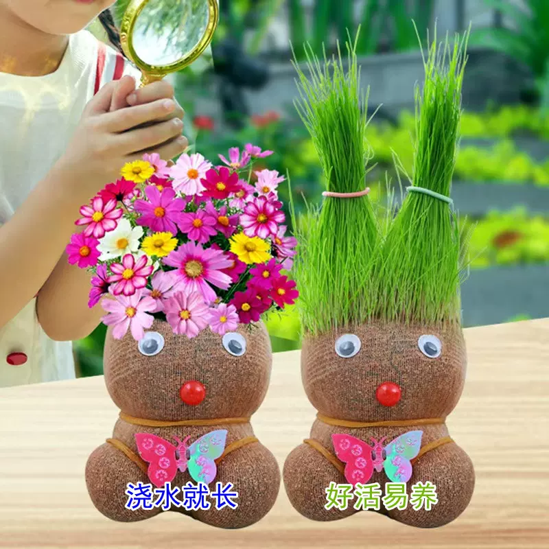 长草娃娃开花草头娃娃创意头上长草花卉可爱室内幼儿园趣味小盆栽