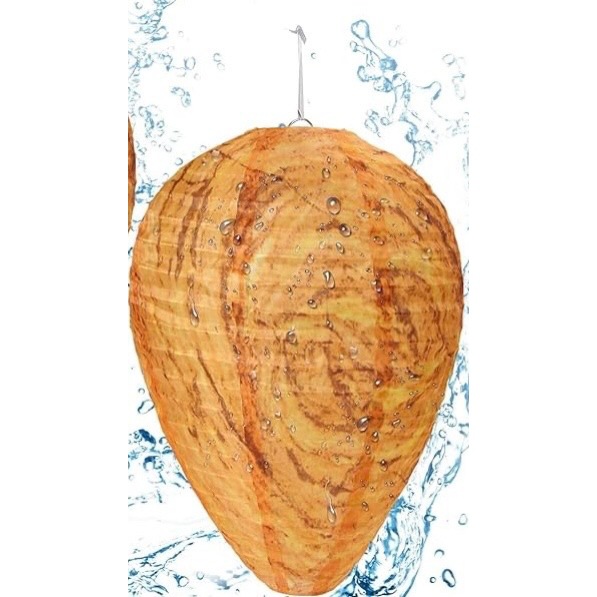 타포린 색상 번호 166.5cm 인치 22x28cm