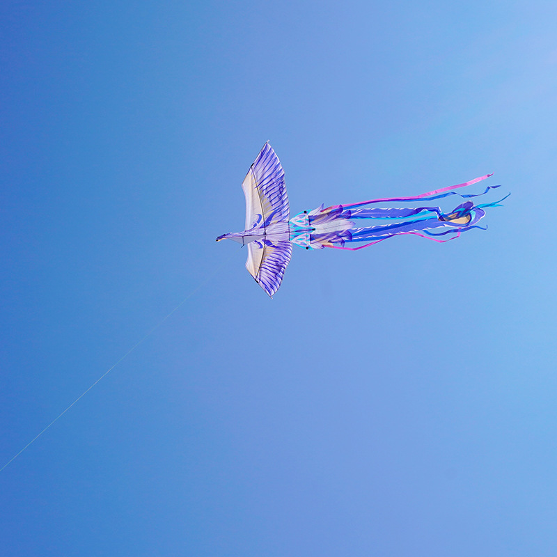 2023 New Children's Ancient Wind Kite Butterfly Chinese Style Retro National Trend Phoenix High-end Breeze Easy to Fly Adult