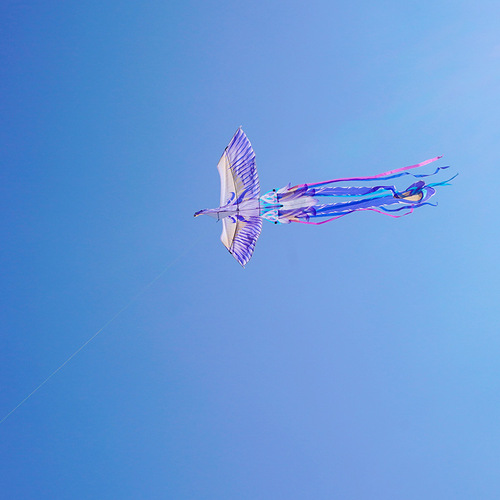 New Children's Ancient Wind Kite Butterfly Chinese Style Retro National Trend Phoenix High-end Breeze Easy to Fly Adult