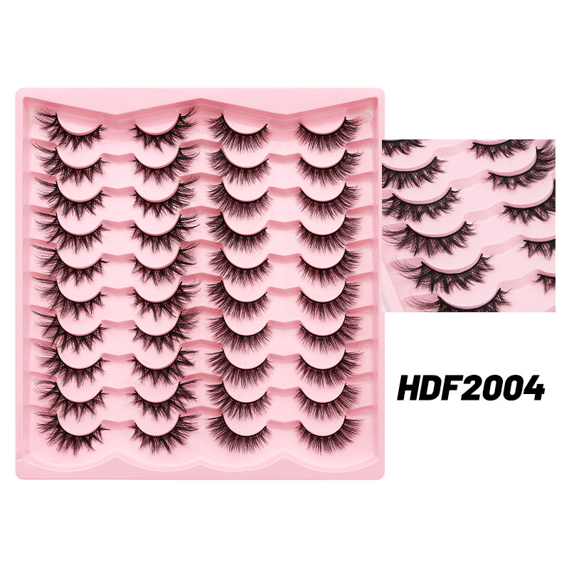 HDF2004